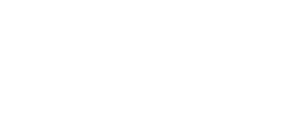 logo_renault_dacia_blanc